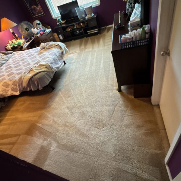 Carpet Cleaning