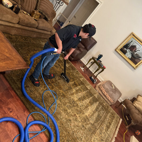 area rug cleaning