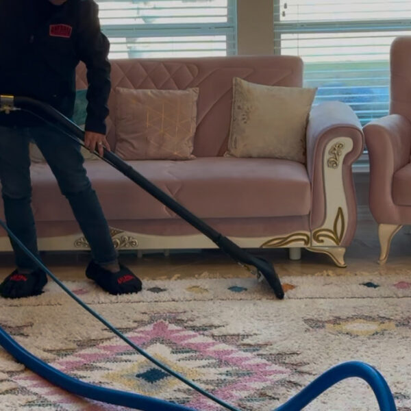Area Rug and Furniture Cleaning