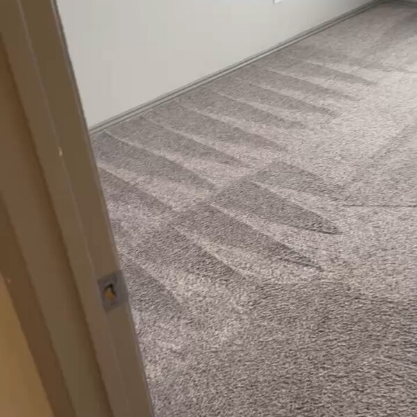 Carpet Cleaning