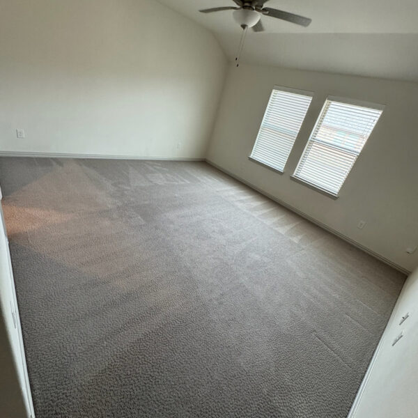 Professional Carpet Cleaning